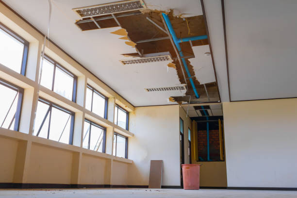  Floral Park, NY Water damage restoration Pros