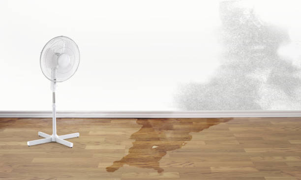 Best Water damage contractors near me  in Floral Park, NY