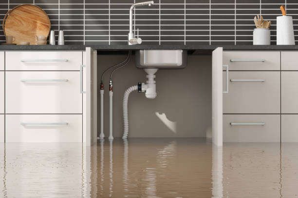 Best Residential water damage restoration  in Floral Park, NY