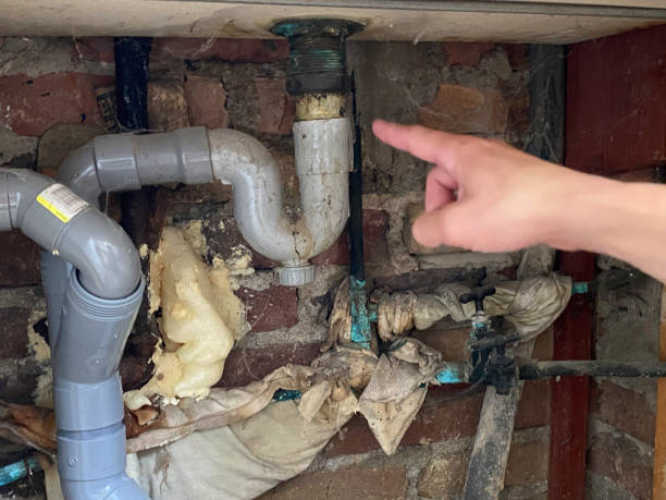 Best Commercial water damage restoration  in Floral Park, NY
