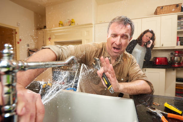 Best Basement water damage restoration  in Floral Park, NY